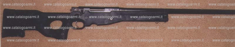Carabina Accuracy International modello AWP (10220)