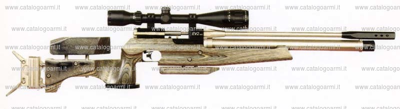 Carabina Air Arms modello EV 2 MKII (17260)