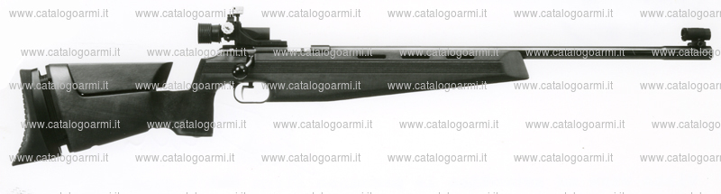Carabina Anschutz modello 1903 (mirino e diottra) (7500)