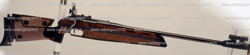 Carabina Anschutz modello 3007 (fornita di diottra) (9764)