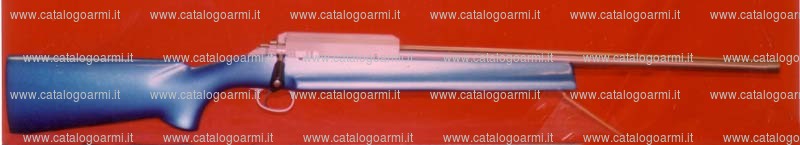 Carabina Aresarms modello Apache (13562)