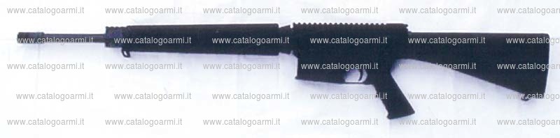 Carabina Armalite modello AR 10 A 4 (12877)