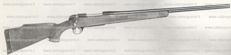 Carabina BSA Guns modello CF 2 (141)