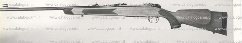 Carabina BSA Guns modello CF. 2 (307)