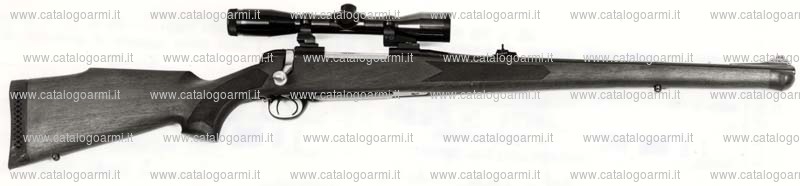 Carabina B.S.A. (Birmingham Small Arms Co.) modello CF. 2 (3361)