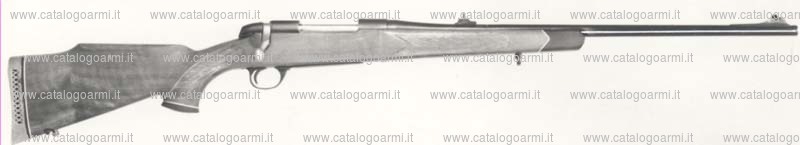 Carabina BSA Guns modello CF. 2 (354)