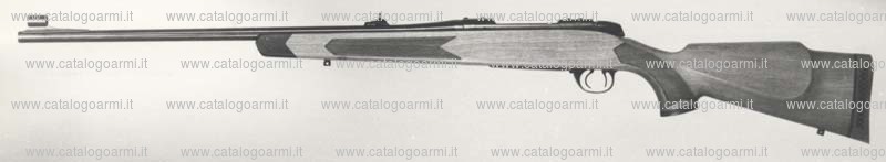 Carabina BSA Guns modello CF. 2 (355)