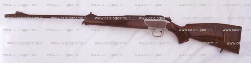 Carabina BLASER modello K 95 (13476)