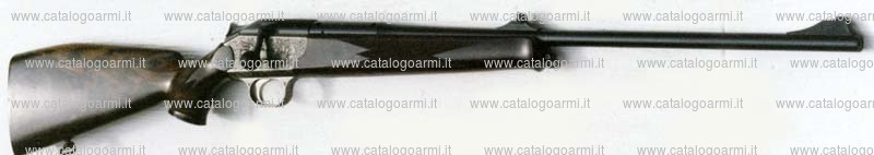 Carabina BLASER modello R 93 (11889)