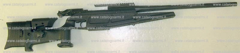 Carabina BLASER modello R 93 Tactical 2 (16790)