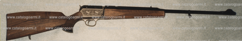 Carabina BLASER modello SR 830 (5495)