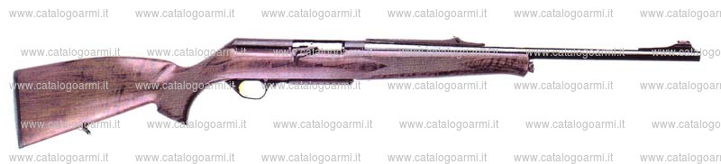 Carabina Browning modello Acera (14393)