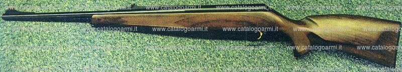 Carabina Browning modello Acera (17500)