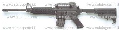 Carabina Bushmaster modello XM 15 E 2 S 16 (17872)