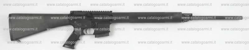 Carabina Bushmaster modello XM 15e2s v-Match (10662)