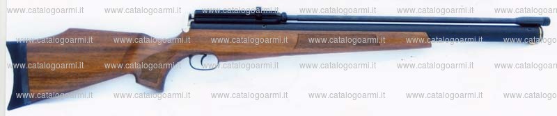 Carabina CNC Process AB modello Logun Axsor (16746)