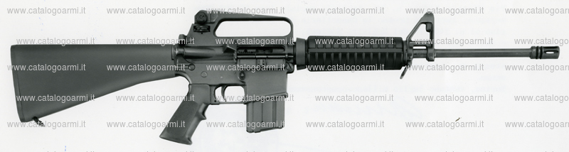 Carabina Colt modello Sporter lighweight (tacca di mira e mirino regolabili) (8482)
