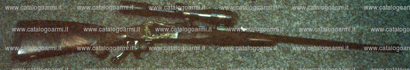 Carabina Concari modello Phantom (6304)