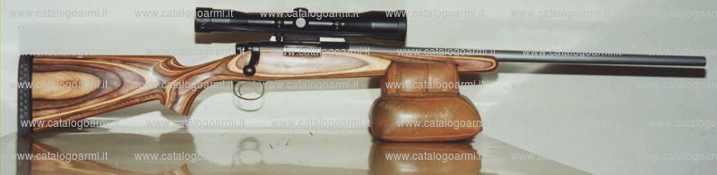 Carabina Daniele Tincani modello Remington 700 (10345)