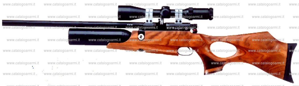 Carabina DAYSTATE LTD modello Air Ranger (17987)