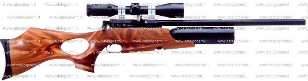 Carabina DAYSTATE LTD modello Air Ranger (17987)