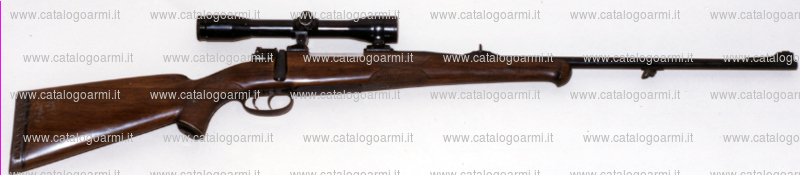 Carabina Di Gaspero Roberto modello RDG (tacca di mira regolabile) (mirino fisso) (5084)