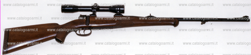 Carabina Di Gaspero Roberto modello Steyr Mannlicher (tacca di mira regolabile) (mirino fisso) (5087)