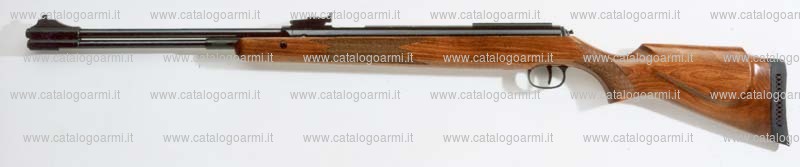 Carabina Diana modello 460 Magnum (16094)