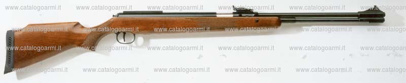 Carabina Diana modello 460 Magnum (16094)