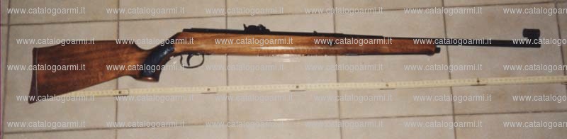 Carabina Diana modello 50 (394)