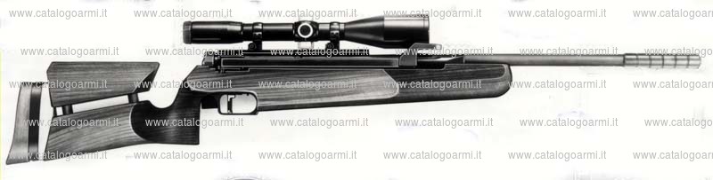 Carabina Diana modello 75 KTO 1 (3358)