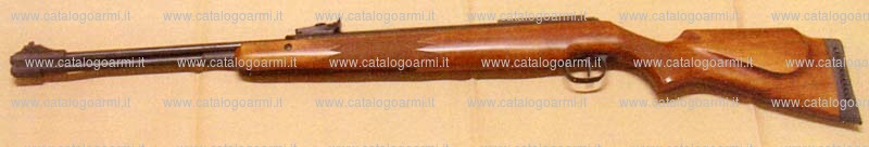 Carabina Diana modello F 460 Magnum (CN249)