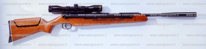 Carabina Dianawerk Mayer & Grammelspacher modello 52 (5142)