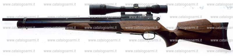 Carabina Evanix modello Hunting Master AR 6 (17123)