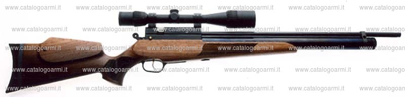 Carabina Evanix modello Hunting Master AR 6 (17123)