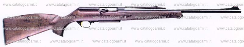 Carabina Browning modello Acera (16991)