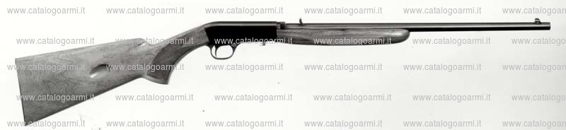 Carabina Browning modello Auto 22 (4036)