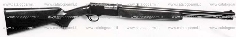 Carabina Browning modello BAR 22 (2661)