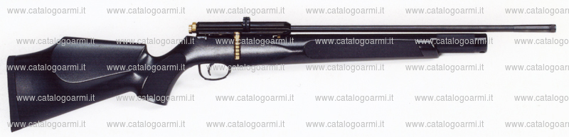 Carabina FX modello 2000 (15070)
