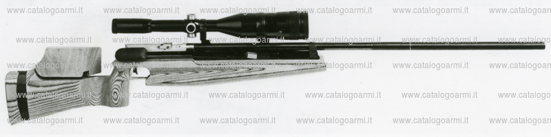 Carabina Feinwerkbau modello 600 Cinghiale Corrente (Running Target) (5038)