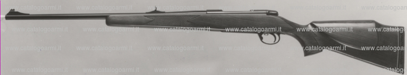 Carabina FRANCHI SPA modello Franchi Rifle 2000 (5196)