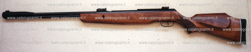 Carabina Gamo modello CFX-Royal (14899)
