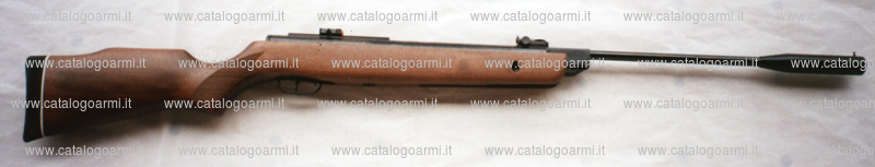 Carabina Gamo modello Hunter 1250 (13978)