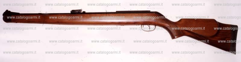 Carabina Gamo modello Stutzen (tacca di mira regolabile) (11931)