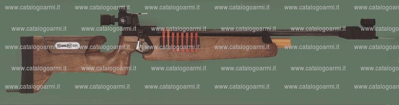 Carabina Haenel-Suhl modello B 96 (diottra, scatto e monogrilletto regolabili) (10740)