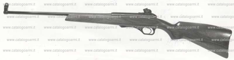 Carabina Heckler & Koch Gmbh modello H. K. 270 (2406)