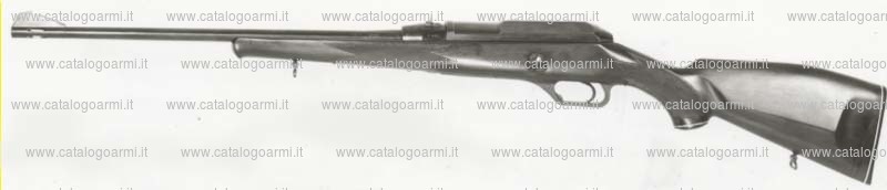 Carabina Heckler & Koch Gmbh modello H. K. 770 (2410)