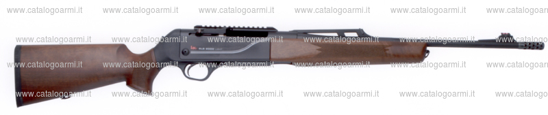 Carabina Heckler & Koch modello SLB 2000 (15531)