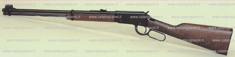 Carabina Henry modello Golden N. H 001 (14884)