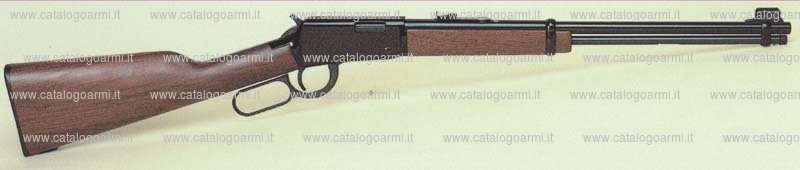 Carabina Henry modello Golden N. H 001 (14884)